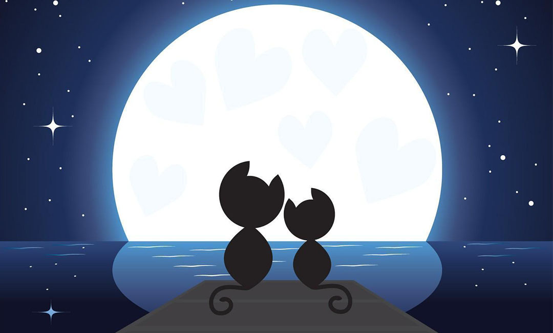 浙江潮客汇微信活动策划案例